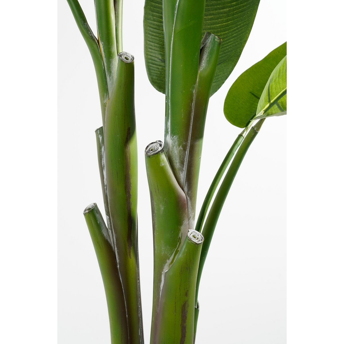 Heliconia Kunstplant H175 x Ø140 cm Groen