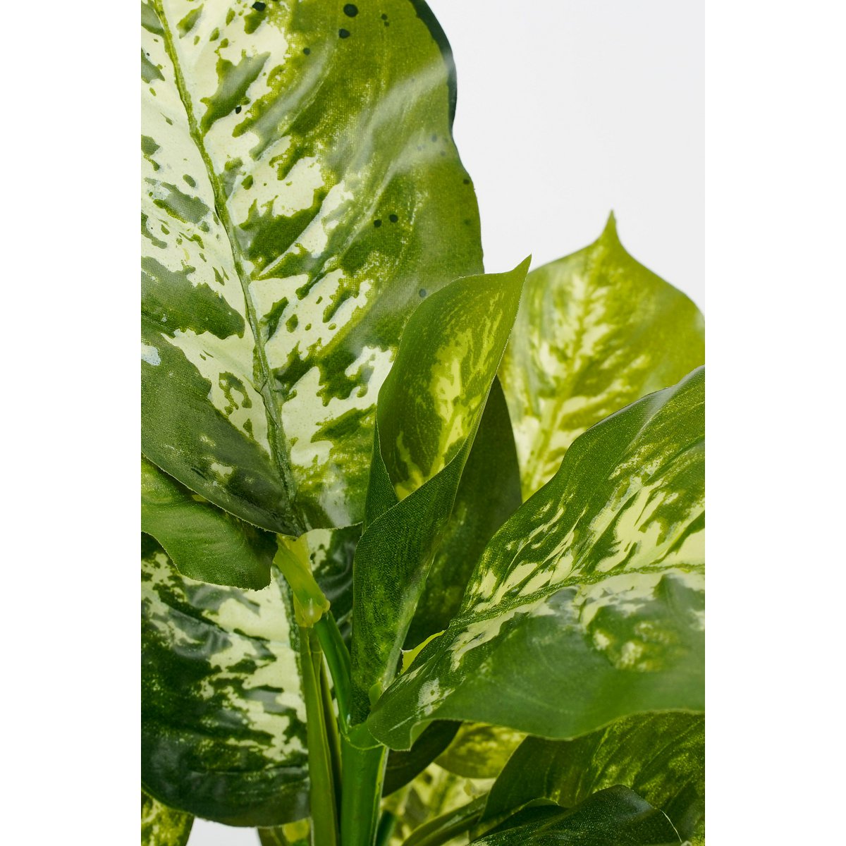 Dieffenbachia Kunstplant in Bloempot Stan H40 x Ø30 cm Groen