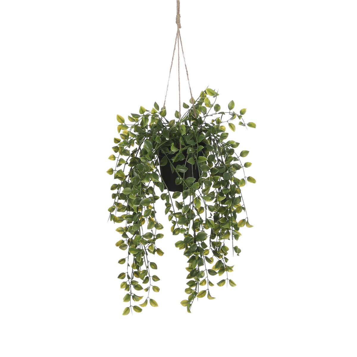 Ficus Kunst Hangplant in Pot H46 x Ø20 cm Groen