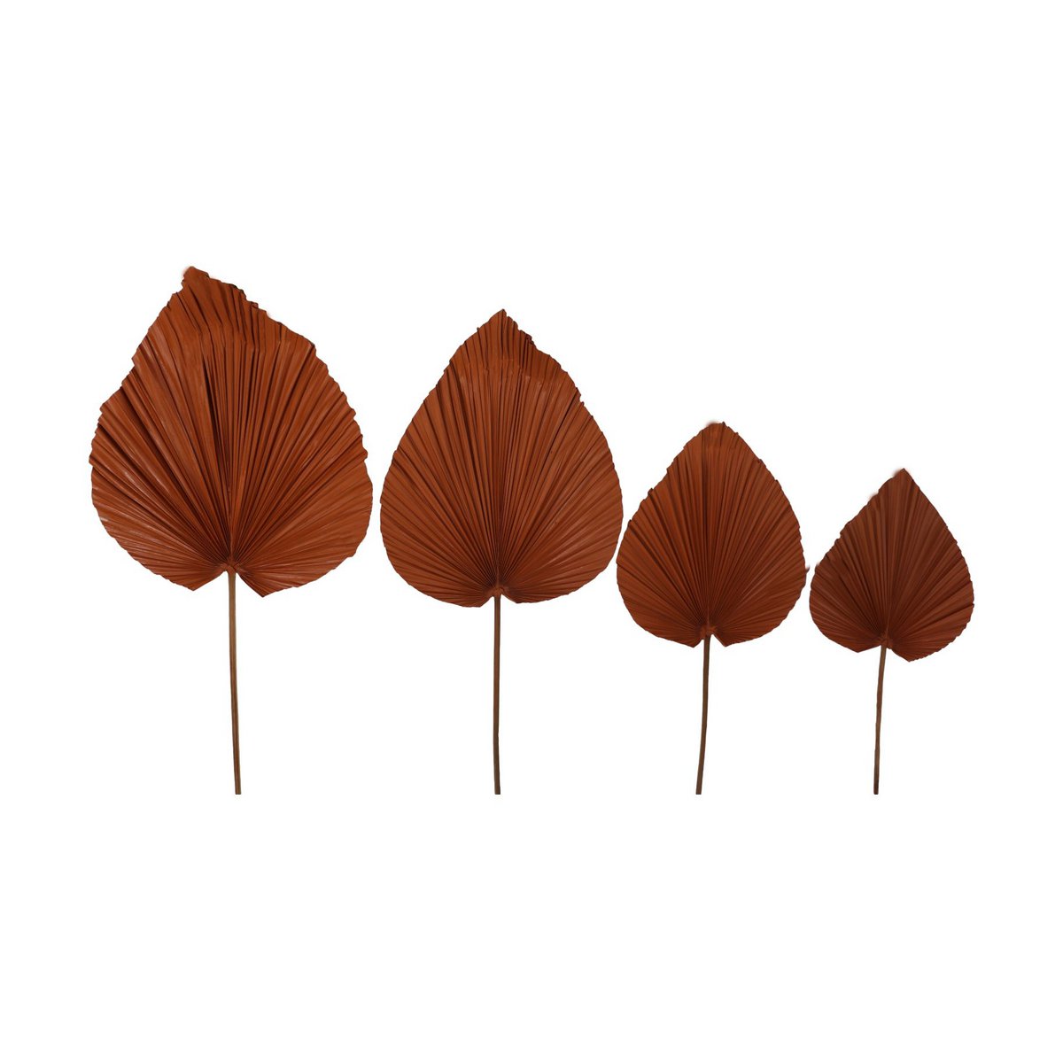 Decoratieve Palmblad Set van 4 Cognac Palmblad