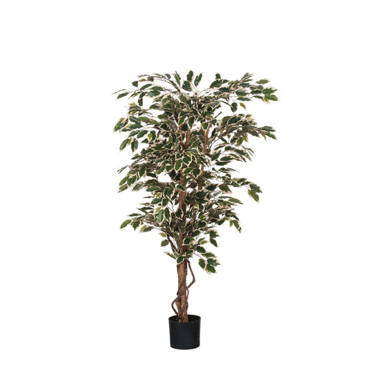 Ficus Kunstplant H150 x Ø75 cm Groen Bont