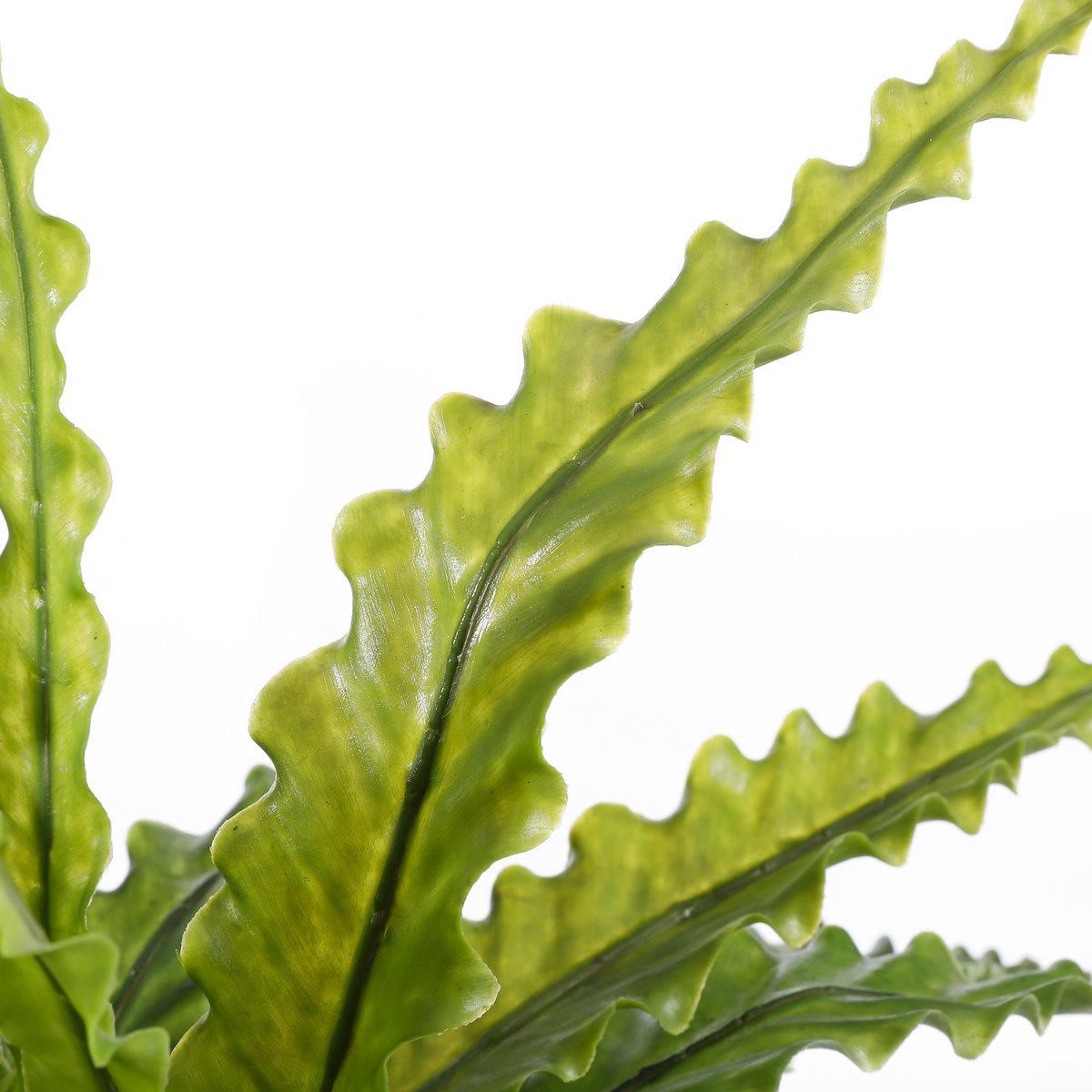 Asplenium Kunstplant in Bloempot Stan H54 x Ø66 cm Groen