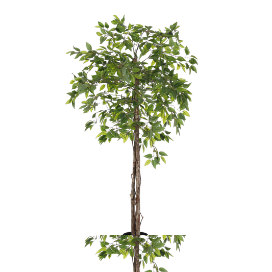 Ficus Kunstplant in Bloempot H150 x Ø50 cm Groen 