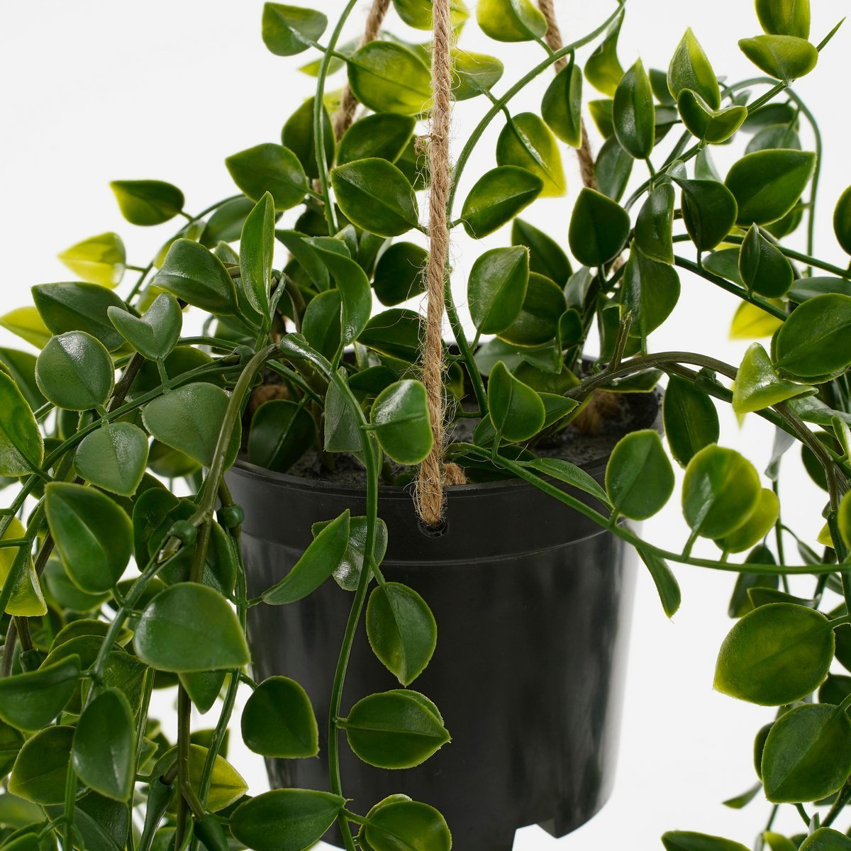 Ficus Kunst Hangplant in Pot H46 x Ø20 cm Groen