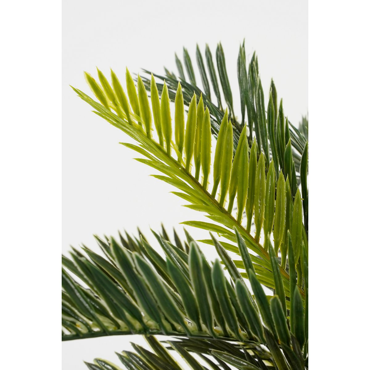 Cycas Palm Kunstplant in Bloempot Stan H33 x Ø34 cm Groen