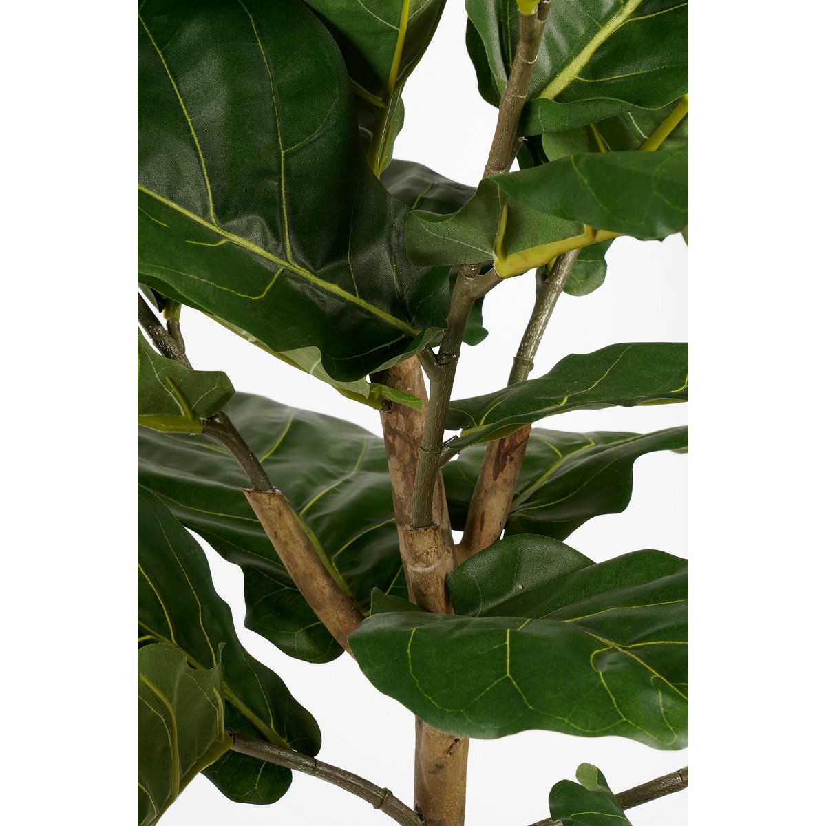 Ficus Lyrata Kunstplant H165 x Ø95 Groen