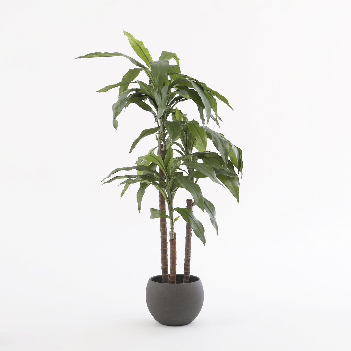 Dracaena Kunstplant H100 x Ø70 cm