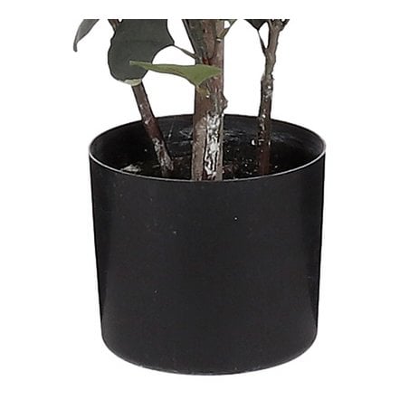 Eucalyptus Kunstplant in Bloempot H150 x Ø30 cm Groen 