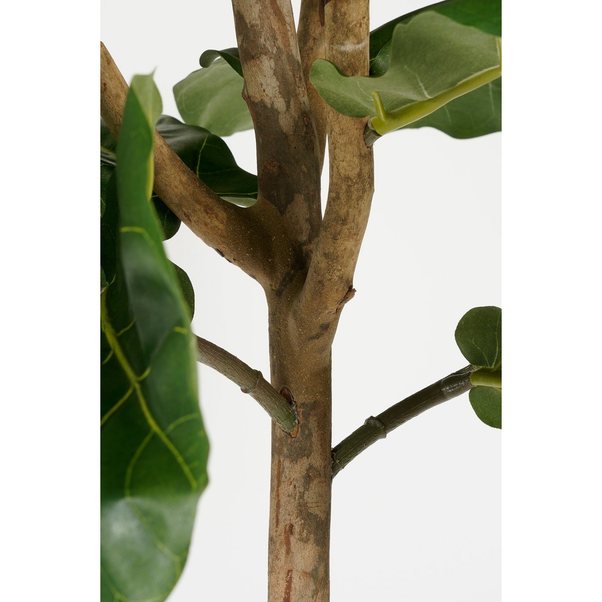 Ficus Lyrata Kunstplant H165 x Ø95 Groen