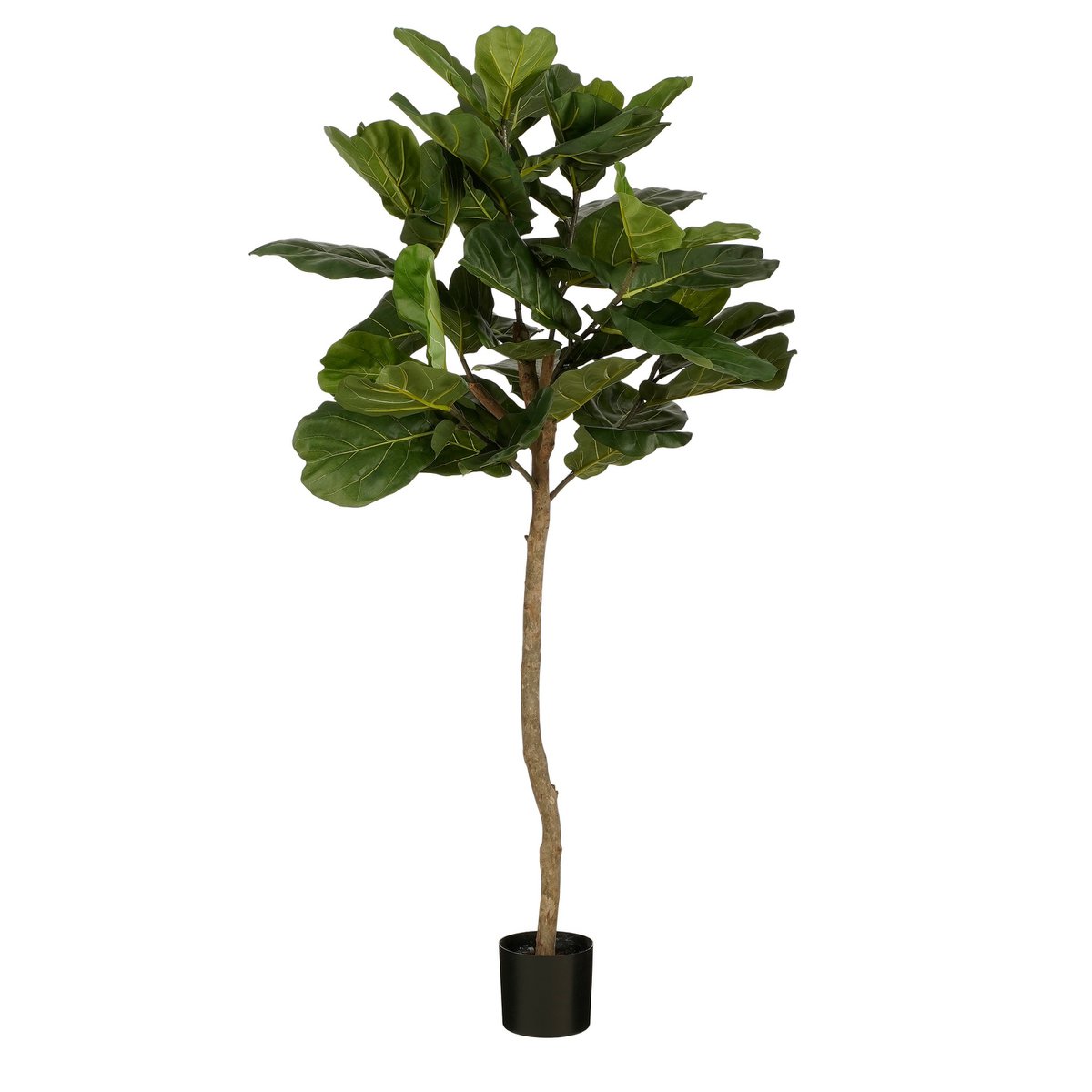 Ficus Lyrata Kunstplant H165 x Ø95 Groen