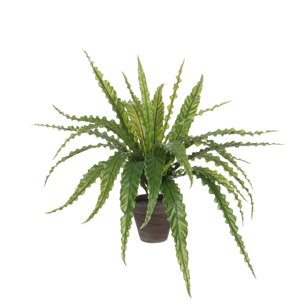 Asplenium Kunstplant in Bloempot Stan H54 x Ø66 cm Groen