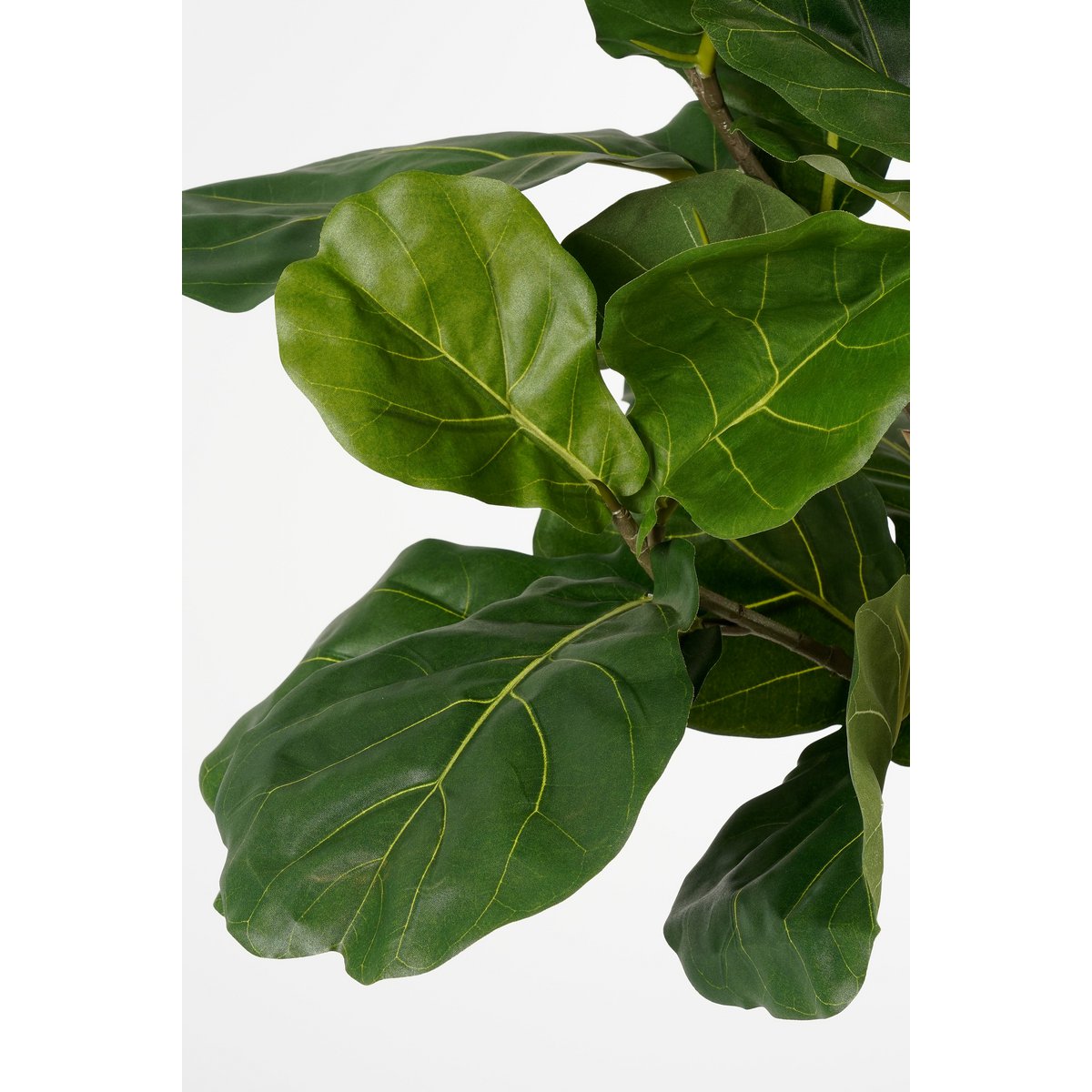 Ficus Lyrata Kunstplant H165 x Ø95 Groen