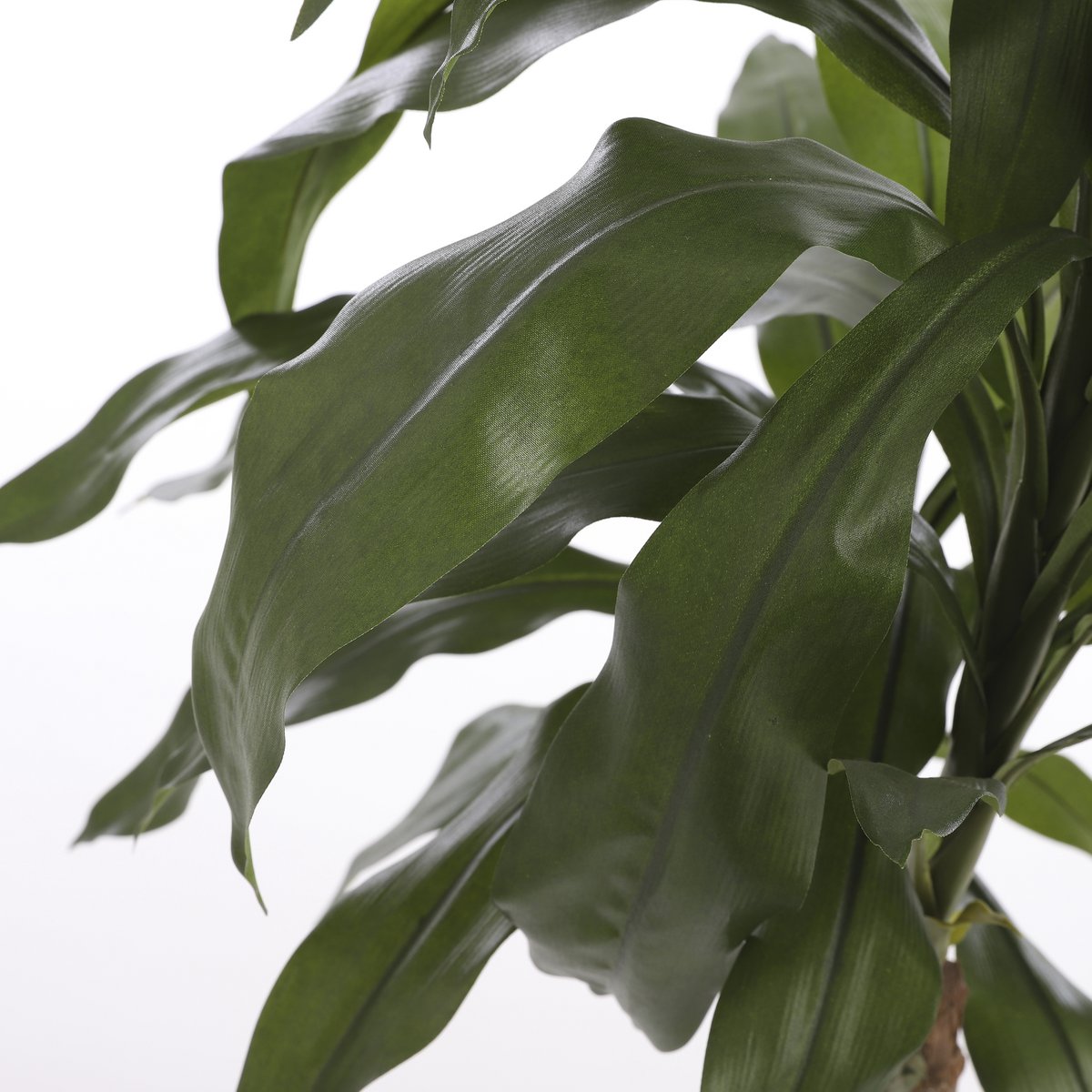 Dracaena Kunstplant H100 x Ø70 cm