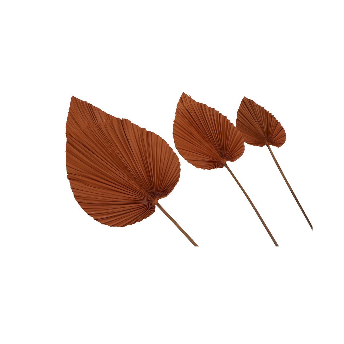 Decoratieve Palmblad Set van 4 Cognac Palmblad