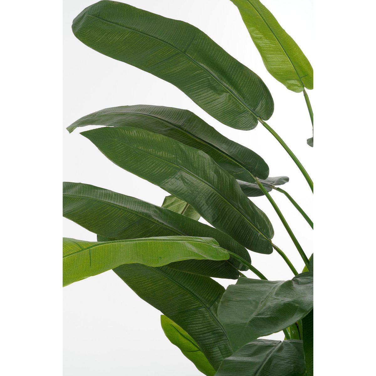 Heliconia Kunstplant H175 x Ø140 cm Groen