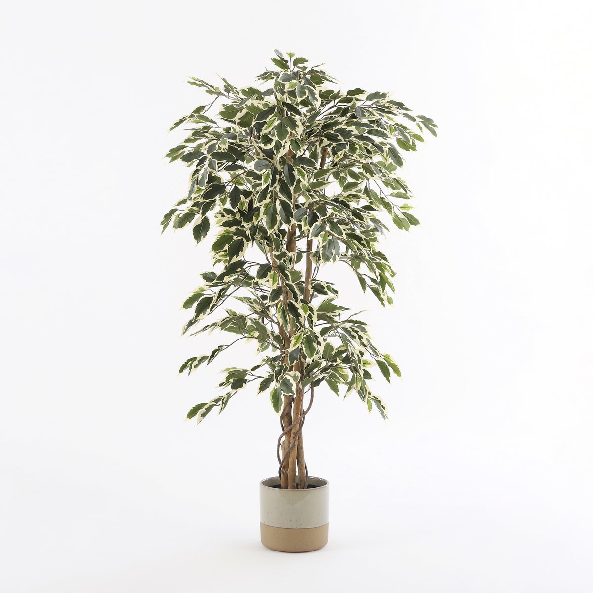 Ficus Kunstplant H150 x Ø75 cm Groen Bont