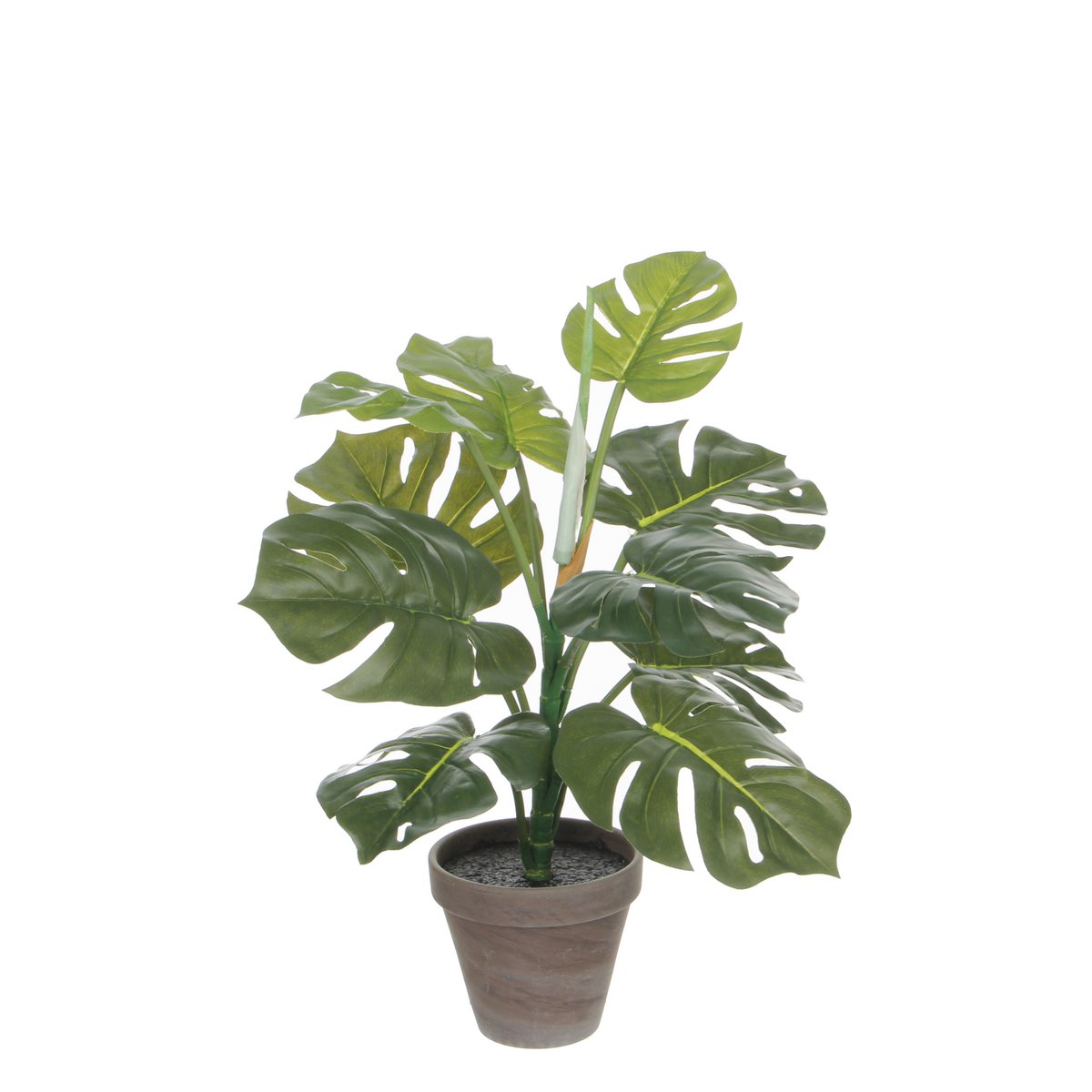 Monstera Kunstplant in Bloempot Stan H48 x Ø39 cm Groen