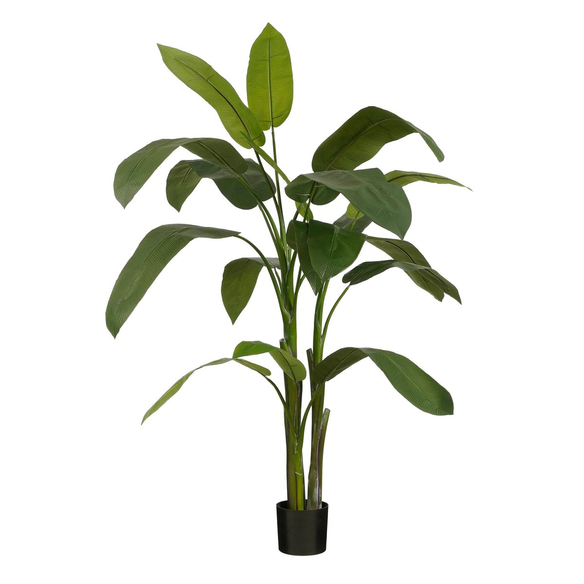 Heliconia Kunstplant H175 x Ø140 cm Groen