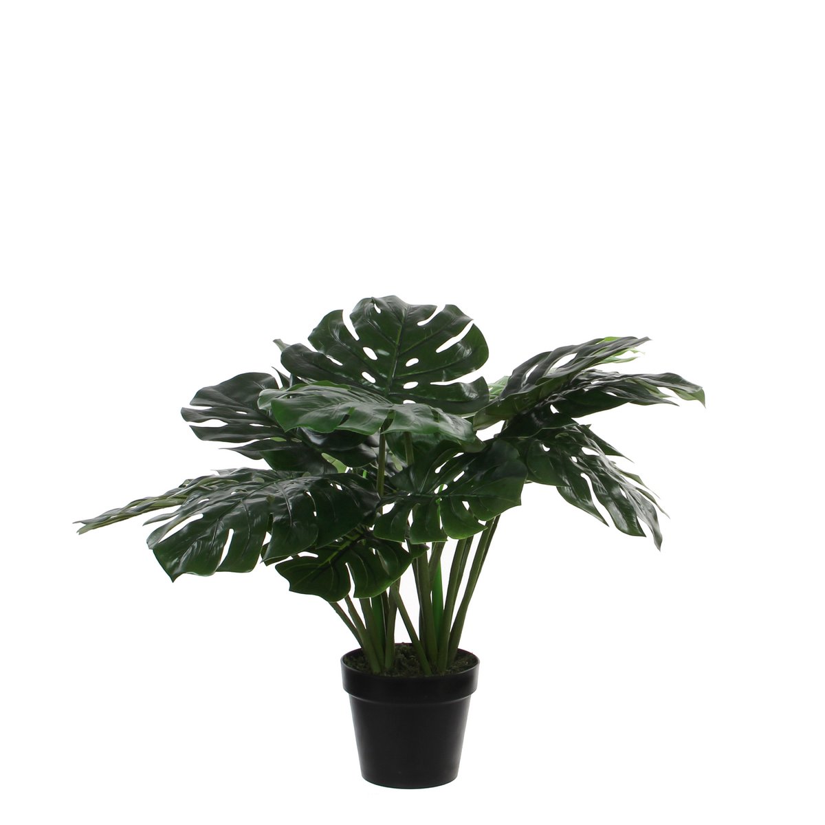 Monstera Kunstplant H60 x Ø80 cm Groen