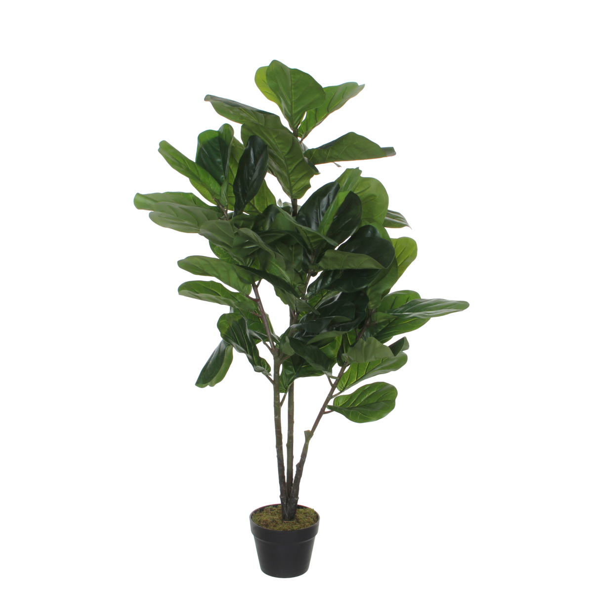 Ficus Lyrata Kunstplant H120 x Ø60 cm Groen